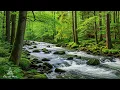 Download Lagu Beautiful Relaxing Music 🌿 Calm Nature Sounds for Stress Release, Healing Music | Flowrest Piano #1