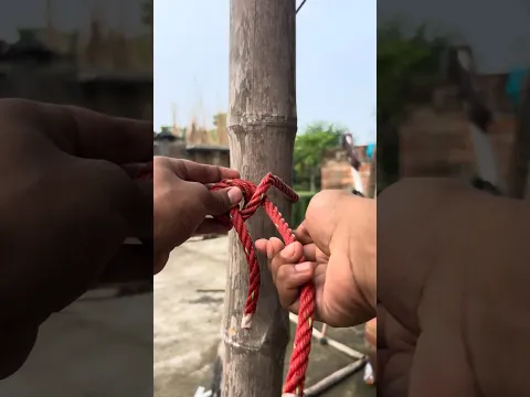 The King Of Knots Ever #shorts #knot #natanknot #knotshorts #youtubeshorts