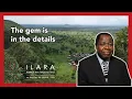 Download Lagu The gem is in the details - Felix Ameka - #Invitations | ILARA