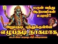 Download Lagu மருளாட வைக்கும் ஆவேசமான அங்காளம்மன் பாடல் | Sakthi Shanmugaraja | சக்தி சண்முகராஜா