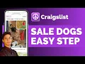How To Sale Dogs On Craigslist