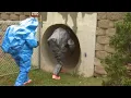 Download Lagu Army MOS 74D Chemical, Biological, Radiological, Nuclear CBRN Specialist