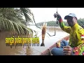 Download Lagu Air keruh ternyata udangnya babon-babon‼️spot sungai pulau tidak buat kecewa‼️Mancing udang galah