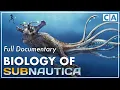 The Biology of Subnautica Full Documentary