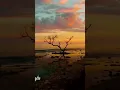Download Lagu Batas Senja - Nanti Kita Seperti Ini #music