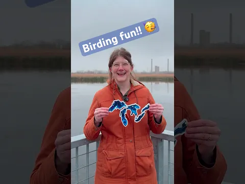 Birding Fun [w/ the Audubon Society!]