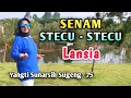 Download Lagu Senam Stecu - Stecu untuk Lansia
