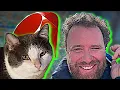 Hashes in Ruby