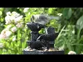 Bird Sounds at The Water Fountain on A Beautiful Evening