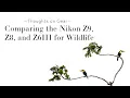 Download Lagu Comparing the Nikon Z9,  Z8, and Z6III for Wildlife Photography