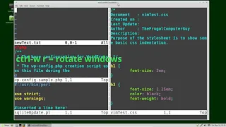 Vim 24 Split-Windows