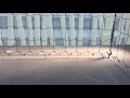 Balcony Cat Netting Highlights Pigeon Busters