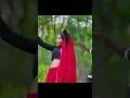 Download Lagu LAL ODHNI KUNDAN KUMAR NEW PURULIA ROMANTIC SONG#kundankumar #kundankumarnewpuruliasadsong#trending
