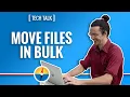 How To Move Files with EASE in Python