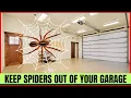 How to Get Rid of Spiders in Your Garage FAST