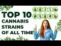 Top 10 Cannabis Strains of All Time High Life Global