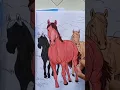 Horse Life Coloring Pages