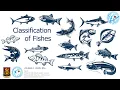 Download Lagu Classification of Fishes
