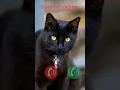 Download Lagu cat calling #ringtone #smartphone #music #ringtones #song #cat #funnycallringto #device #funny