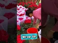 Download Lagu Farmers Wrapped Flowers Like This 🌷 This Wrap Keeps Flowers Alive 💦 #shorts #shortfeeds