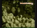 Fotograf - Di Alam Fana Cinta