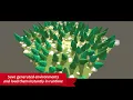Collider based perfect object placement system Update 1 1