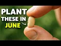 You MUST Plant These Crops in JUNE