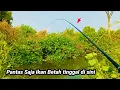Download Lagu NEKAT‼️ masuk wilayah terlarang ,mancing di parit kecil tak terjamah pemancing