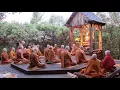 Download Lagu Pali Chanting In The Abhayagiri Buddhist Monastery | Theravada Buddhism