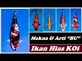 Download Lagu Terungkap. Arti Istilah “Bu” dalam Dunia Ikan Koi / The meaning of \