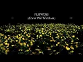 Flowers - Phil Wickham (Cover in ITALIANO) by Daniele Testa - Lyric Video (Live Session)