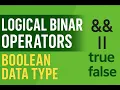 JavaScript Lecture 5 Logical Binary Operators Boolean Data Type Explained with Examples