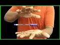 Learn Pen Levitation Magic Trick - Pen Levitation Magic Trick Revealed Ft Hindi Magic Tricks
