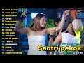 Lagu VITA ALVIA FT. ARIF CITEX - KAWIN KONTRAK, SANTRI PEKOK - FULL ALBUM DANGDUT KOPLO VIRAL TERBARU