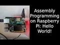 Raspberry Pi ARM64 Assembly Programming Episode 1 - Hello World