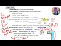 Covalent Bonding