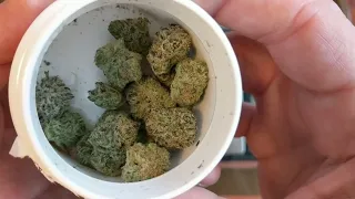 Sour Jack T2 Muv 26