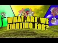 Special Tee & Sol Brothers - What are we Fighting For?