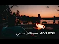 Anis Dziri  -ضيقك يا حبسي (Slowed&Reverb)