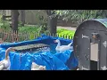 Download Lagu Peristaltische bewegingen bij de ganzen en badderen tegen de warmte.