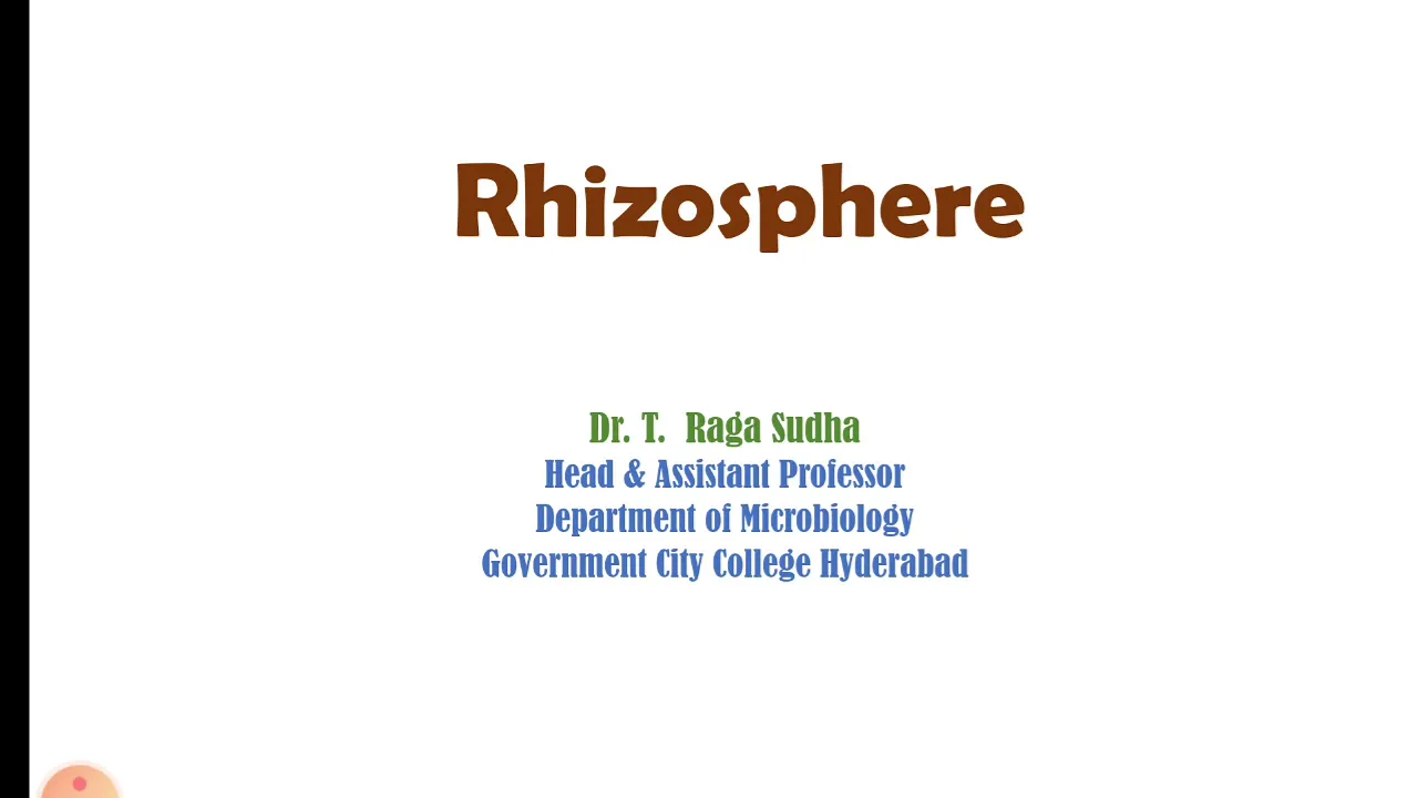 Rhizosphere