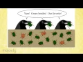 Common Misconceptions of Evolution