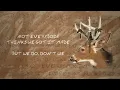 Morgan Wallen - Don't We (Lyric Video)