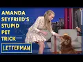 Download Lagu Amanda Seyfried's Stupid Pet Trick | Letterman