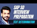 SAP Interview Preparation Text Determination in SAP SD