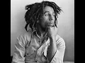 REMIXES ::: Bob Marley & The Wailers https://www.bobmarley.com/