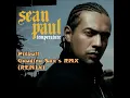 Sean Paul - Temperature ft.Pitbull (REMIX)