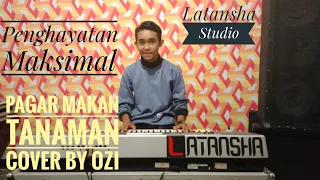 Download Cover || Pagar Makan Tanaman (Imam S. Arifin) || Ozi Samudra MP3