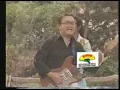 LOS DESTELLOS - A LOS BOSQUES ME INTERNO YO