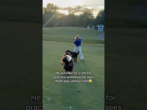Wait for me!